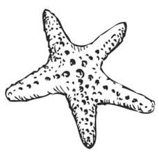 LivingWellOnline: Living Well Counseling and Wellness